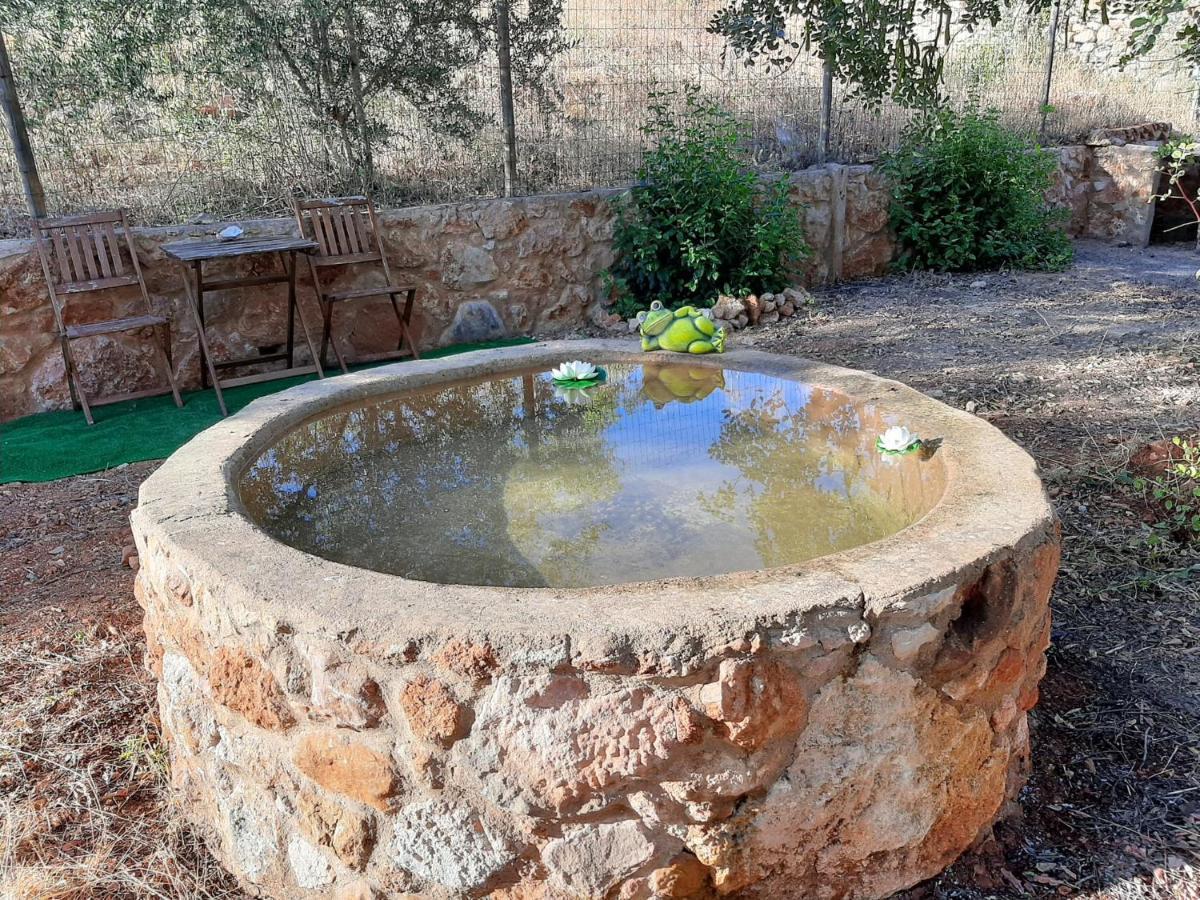 Quinta Do Cerro Sao Vicente *